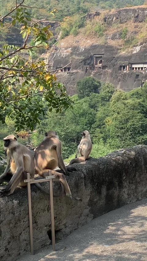 Panoramic view of The Ajanta Caves Stock Footage 322788712