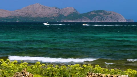 Panoramic view of Alcudia bay. Stock Footage 210532439