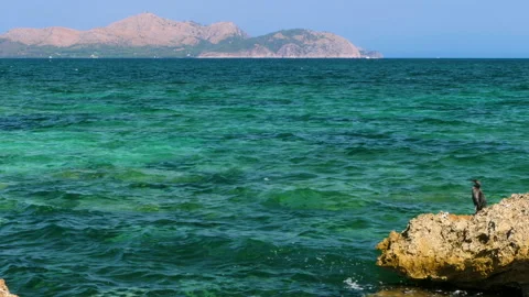 Panoramic view of Alcudia bay. Stock Footage 211358721
