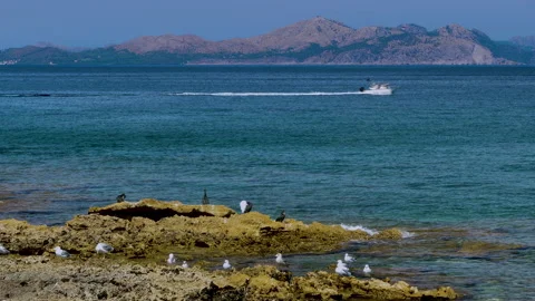 Panoramic view of Alcudia bay. Stock Footage 226230126