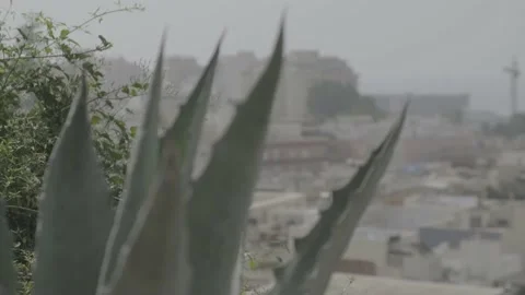 Panoramic view of Almera, Spain, started with the blur of a cactus Stock Footage 185430986