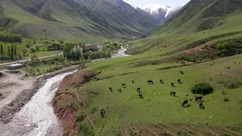Panoramic view of the alpan mountains Video stock 195006623