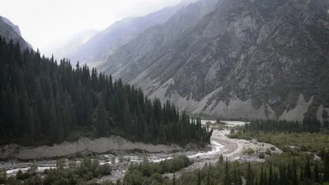 Panoramic view of the alpan mountains Video stock 209929872