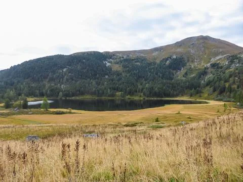 Panoramic view of alpine lake Winterleitensee surrounded by swamp, golden r.. Stock Photos