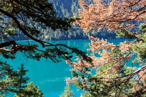 Panoramic view of alpine landscape seen from east bank of lake Weissensee i.. Stock Photos