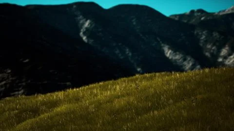 Panoramic view of alpine mountain landscape in the Alps Stock Illustration