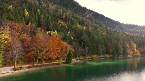 Panoramic view with the Alpsee lake as reflection in Autumn trees season Stock Footage 258750731