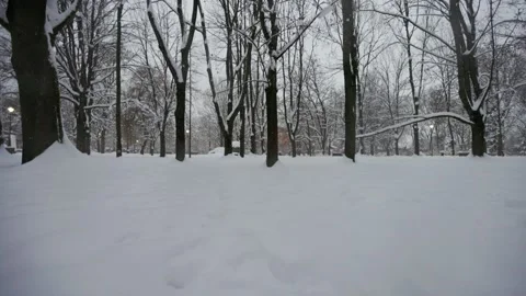 Panoramic view among the trees Stock Footage 228752476