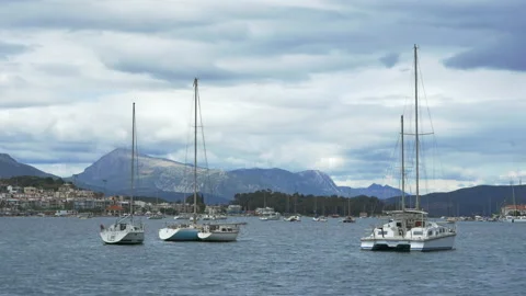 Panoramic view of the anchorage of white yachts in the sea bay off the coast of Stock Footage 222451423