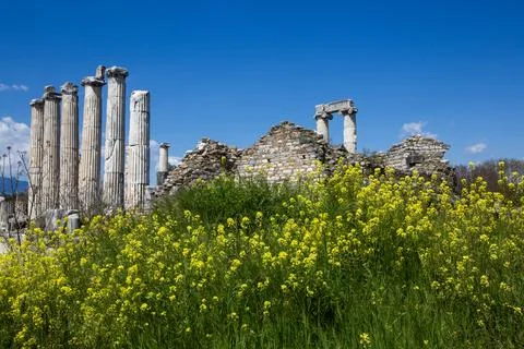Panoramic View of the Ancient Temple of Aphrodite with Standing Columns in .. Stock Photos