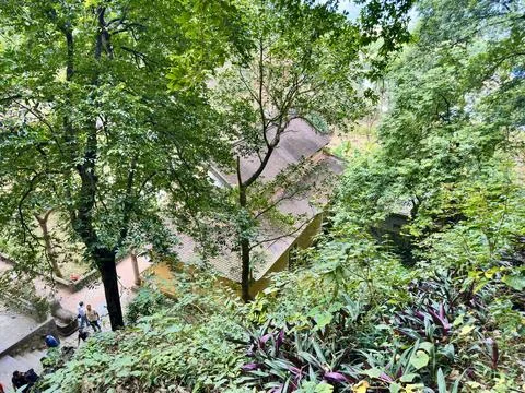 Panoramic view of ancient temple roofs hidden under lush green forest Stock Photos
