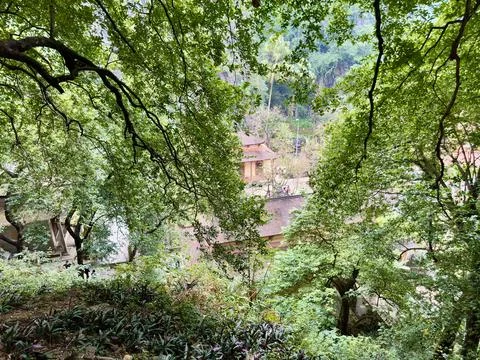 Panoramic view of ancient temple roofs hidden under lush green forest Stock Photos