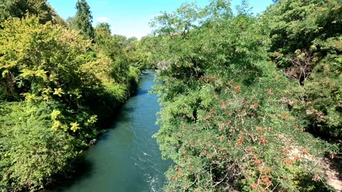 Panoramic view of the Aniene river among the trees in Rome, Italy - 4k - ProRes Vídeos de archivo 146909938