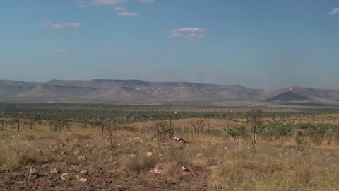 Panoramic view of the australian outback Stock Footage 74027627