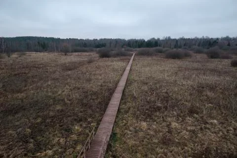 Panoramic view of autumn field with withered grass with wooden path Stock Photos