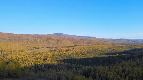 Panoramic view of the autumn forest. drone shooting. mountain peaks in the Video stock 145609889