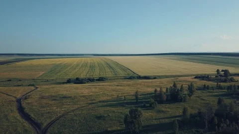 Panoramic view of autumn meadows, crossing roads and bushes Stock Footage 93068016