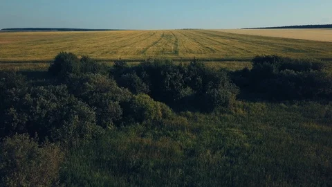 Panoramic view of autumn meadows, crossing roads and bushes Stock Footage 93070095