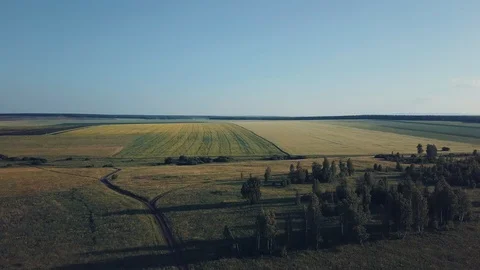 Panoramic view of autumn meadows, crossing roads and bushes Stock Footage 93070926