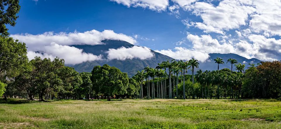 Panoramic view of Avila mountain at sunrise. Caracas, Venezuela Stock Photos