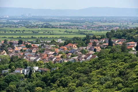Panoramic View of Bad Drkheim Town Overlooking Forest, Fields and Rooftops Stock Photos