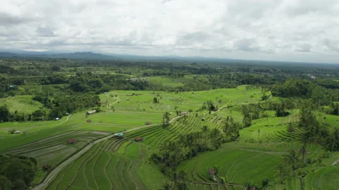 Panoramic view of Bali Vidéo 218302295