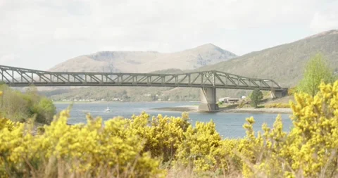 Panoramic View of Ballachulish Bridge with Lush Foreground Greenery Stock-Footage 239777108