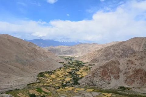Panoramic view of Barley fields from mountain top Fotos de archivo