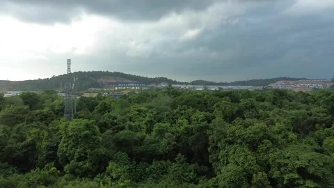 Panoramic View of Batam's Lush Green Expanse and Distant Architectural Grow.. Stock-Footage 335193282