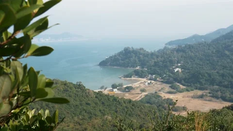 A panoramic view on the bay, clean sand and the green woods in the background Stock Footage 144044097
