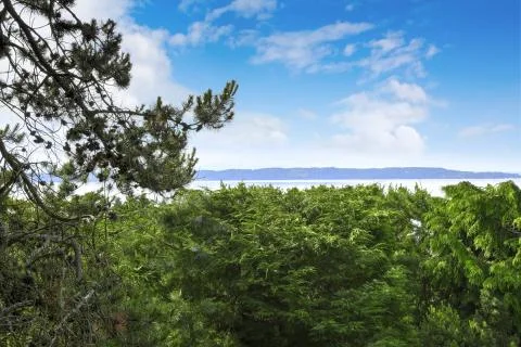 Panoramic view of bay during summer time, washington state Stock Photos