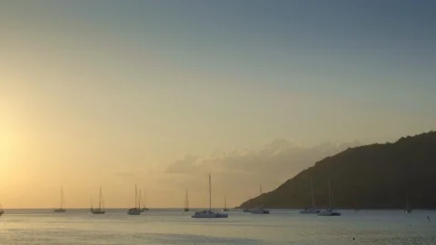Panoramic view of a bay with many yachts and catamarans in warm blue water 動画素材 114826353