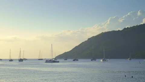 Panoramic view of a bay with many yachts and catamarans in warm blue water Stock Footage 114826630
