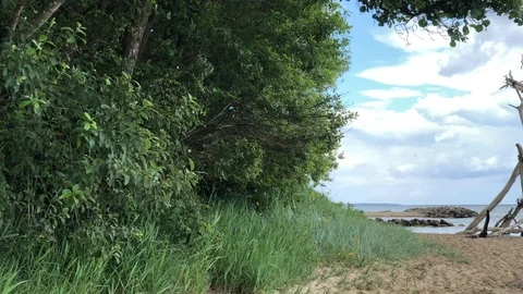 Panoramic View From the Beach 4K Nature Water Sand Stock Footage 114775261