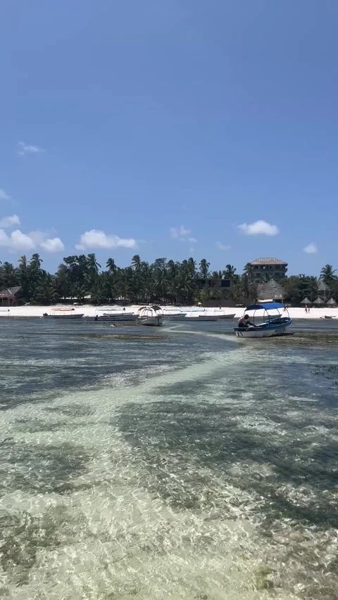 Panoramic view of beach boats turquoise ocean low tide Zanzibar HD vertical Vídeo Stock 342170524