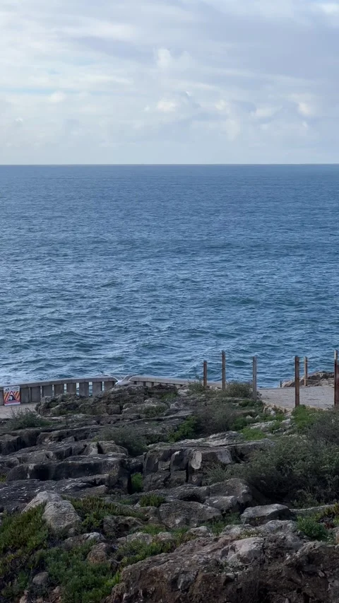 Panoramic view of beach with flying seagull in Cascais, Portugal. Vertical video Stock Footage 241023780