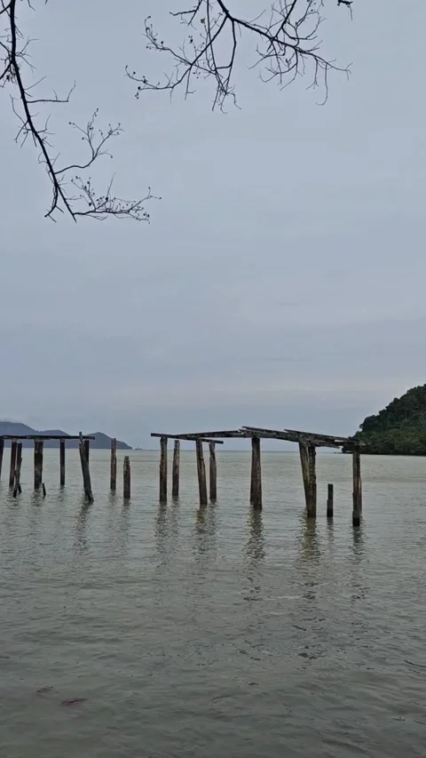Panoramic view of a beach Stock Footage 316579284