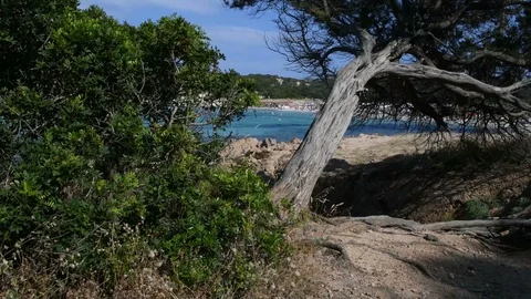 A panoramic view of a beach in the Mediterranean sea with relaxing vacationers Stock Footage 108942391