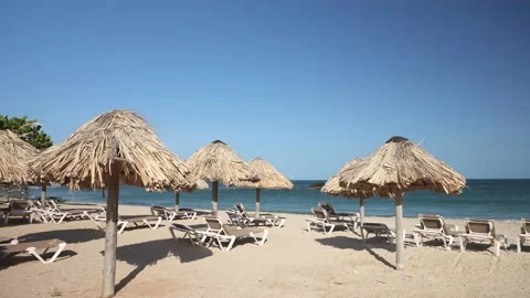 Panoramic view of the beach with no people early morning. Many straw umbrellas Stock Footage 226195541