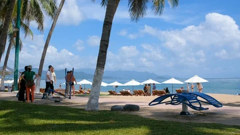 Panoramic view beach, palm, chairs, umbrellas. Nha Trang, Vietnam Stock Footage 101361402