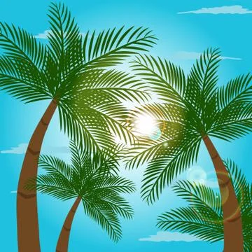 Panoramic view of beach with palm trees with blue sky 스톡 일러스트