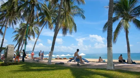 Panoramic view beach, palm, turquoise sea. Nha Trang, Vietnam Video stock 101348106