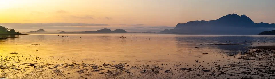 Panoramic view from beach at Small Flock of Birds Flying Over the Ocean at Su Stock Photos