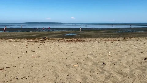 Panoramic View of a Beach with Tide Water. Stock Footage 158128639