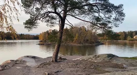 Panoramic view of beautiful forest lake Stock Footage 289399773