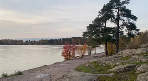 Panoramic view of beautiful forest lake Stock Footage 289399774