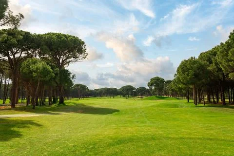 Panoramic view of beautiful golf course with pines on sunny day. Golf field with Stock Photos