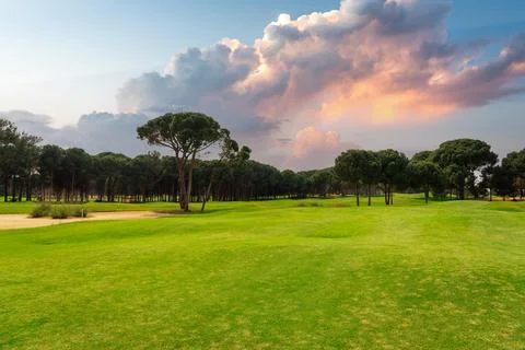 Panoramic view of beautiful golf course with pines with dramatic sky and clouds Stock Photos
