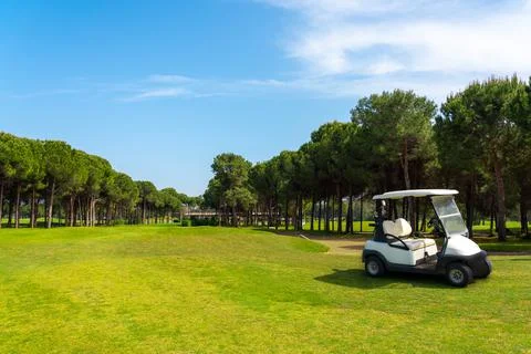 Panoramic view of beautiful golf course with buggy and pines on sunny day. Golf Stock Photos