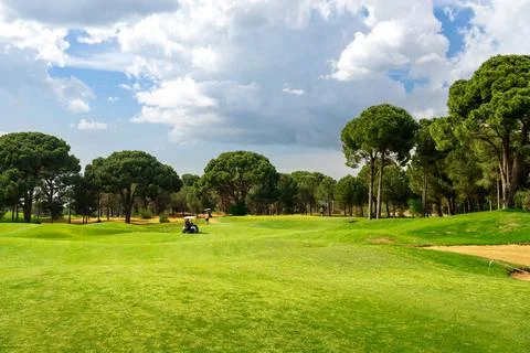 Panoramic view of beautiful golf course with pines on sunny day. Golf field with Stock Photos